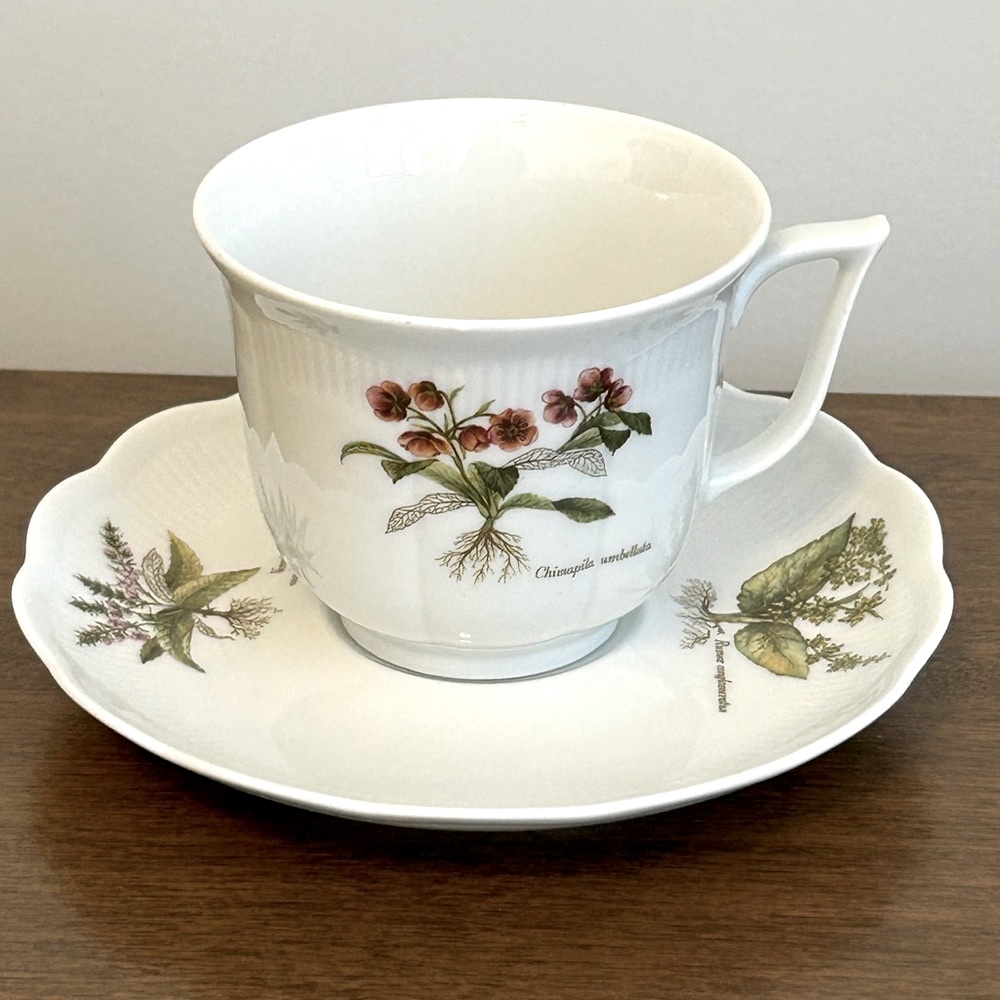 VOHENSTRAUSS JOHANN SELTMANN BAVARIA FLORAL TEA CUP AND SAUCER MADE IN GERMANY